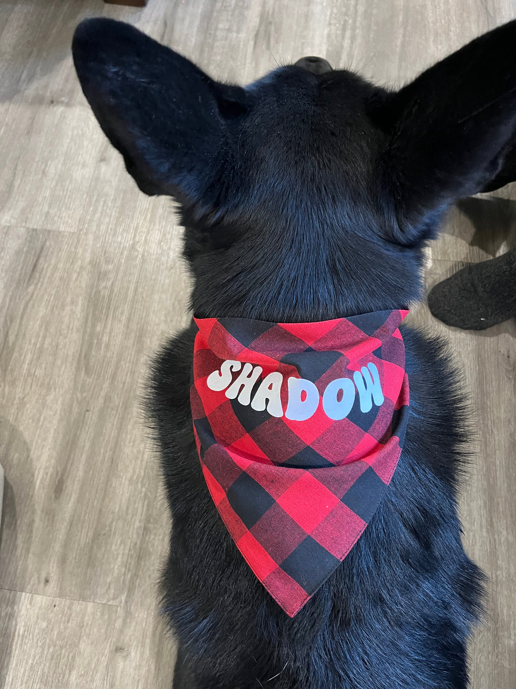 Custom Pet Bandana